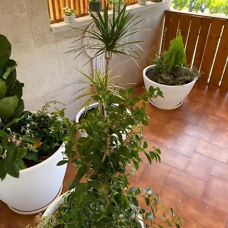 Pombal Suite Pombal (Leiria)