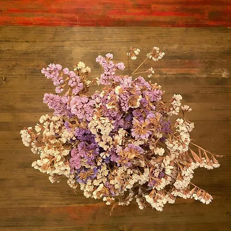 Daire Pombal Suite *