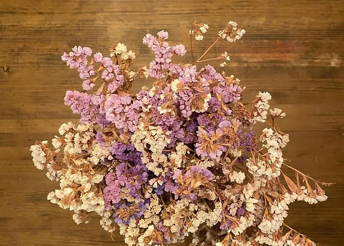 Lejlighed Pombal Suite *