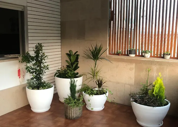 Appartement Pombal Suite